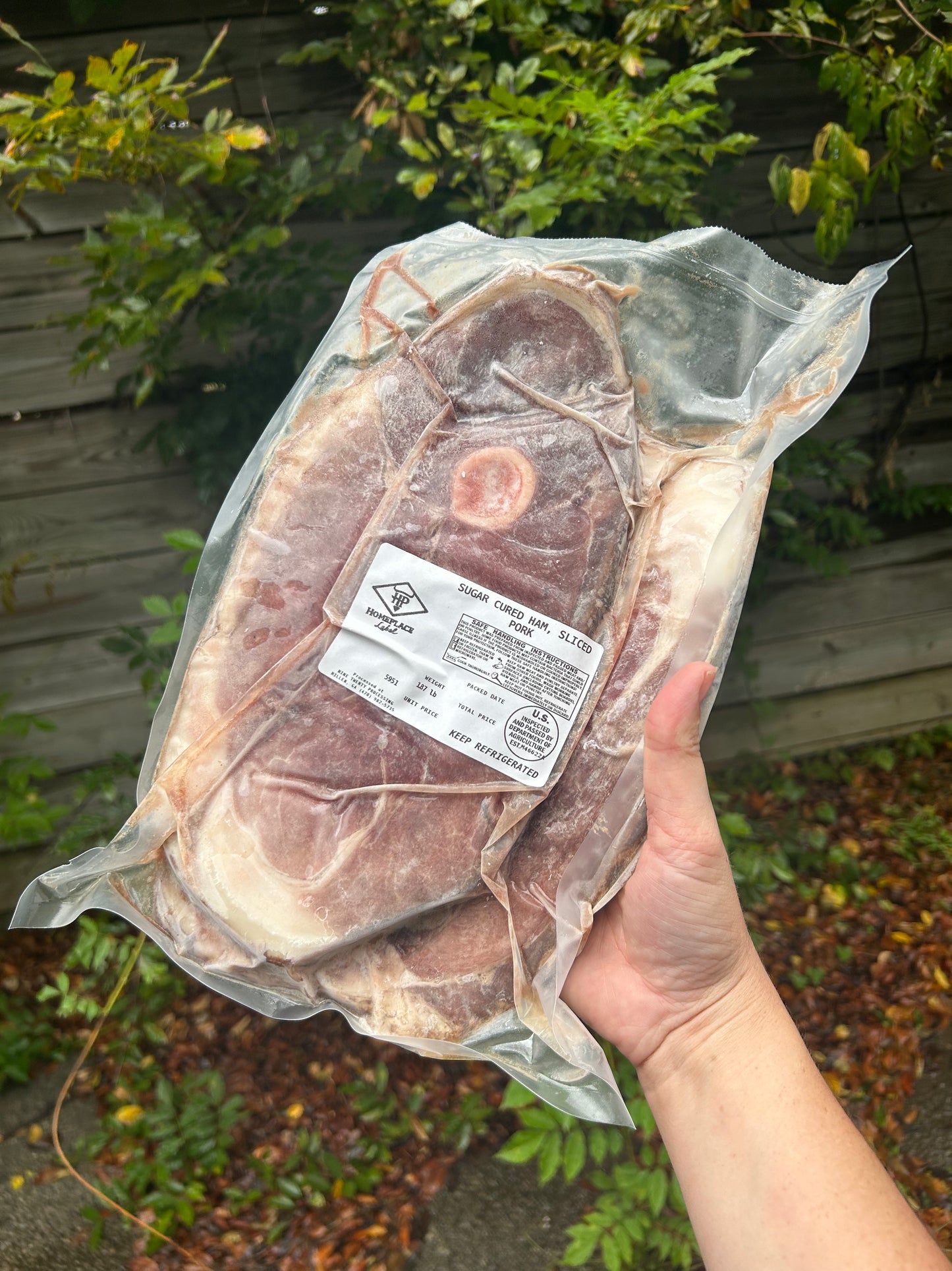 Pork Ham Steaks