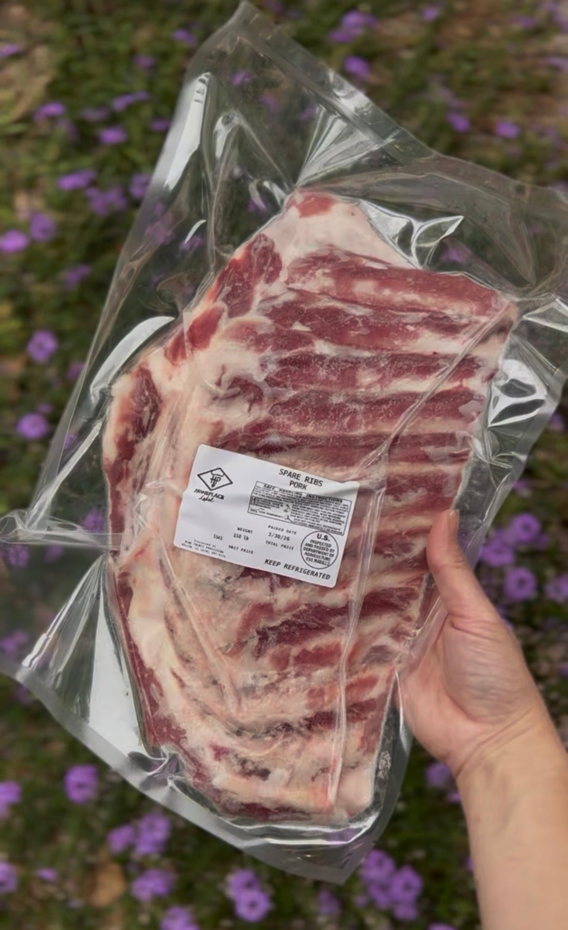 Pork Spare Ribs