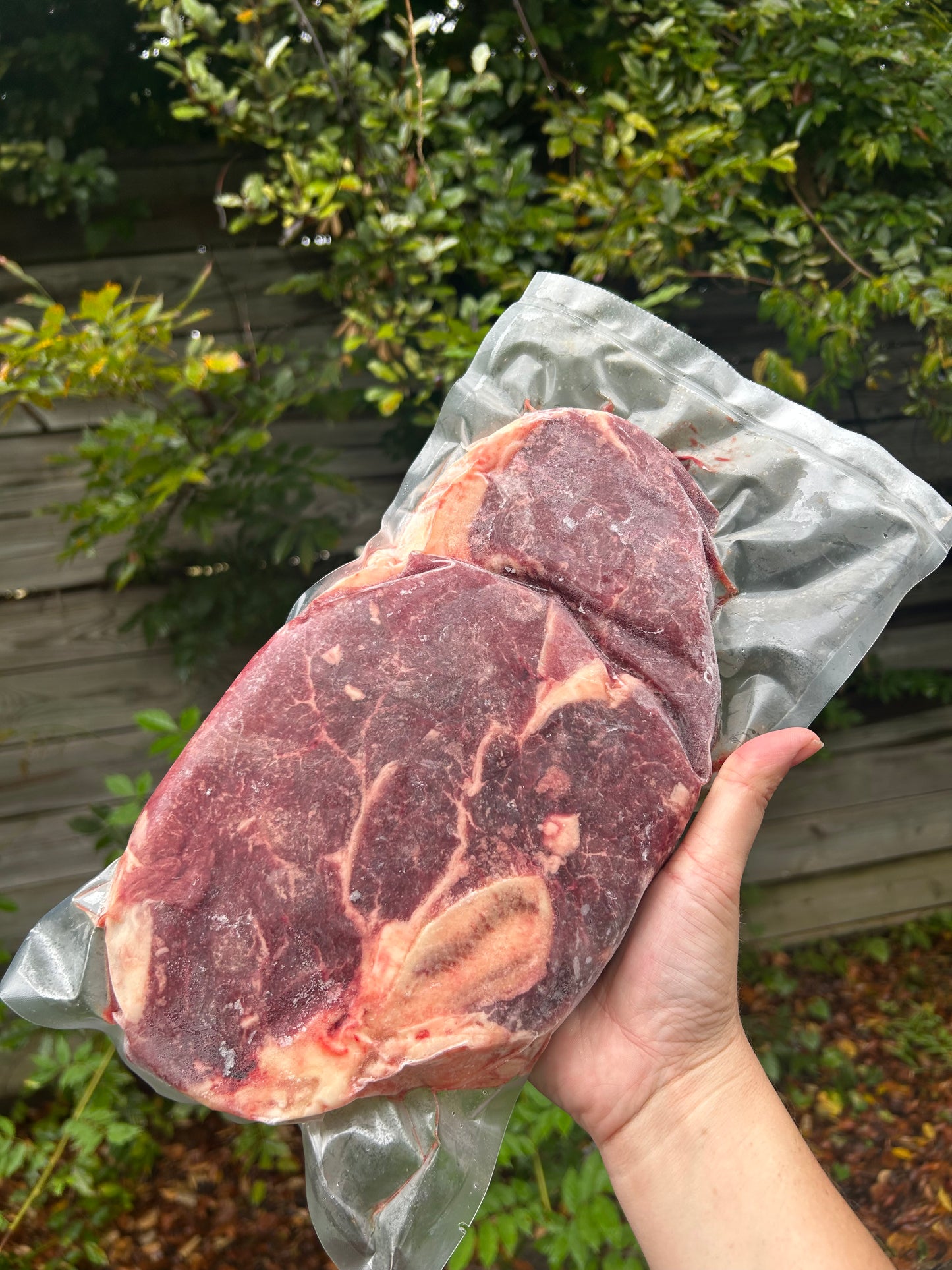 Beef Bone-In Sirloin Steak